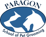 Paragon_LOGO_Web