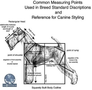 Welsh Box Structurerr