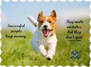 25655a6d-a9d6-4cc4-8095-a96fb974d20b