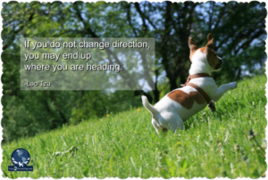 35691dbb-69aa-491b-a043-7faf8ddfef58