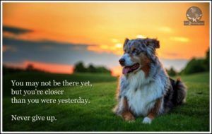 48c36637-1ea1-444c-b90c-9a60165c0ee6