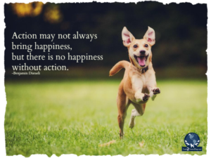 62b516ec-bfe9-443d-bf85-9775295544ef