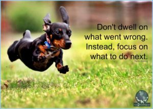 74e67831-9fc9-42cc-a2a2-c42d274787fd