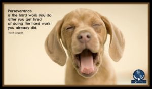 c0985ba4-b2cf-4ded-9fc9-f92204d719fc