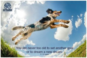 ccd96d25-5fe2-4afd-9b24-35809ff10264