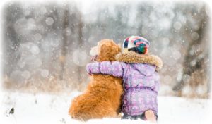 pl-animalwallpapers-21