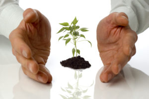 professional-development-2