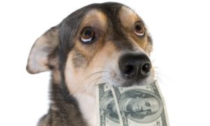 late-payment-excuses