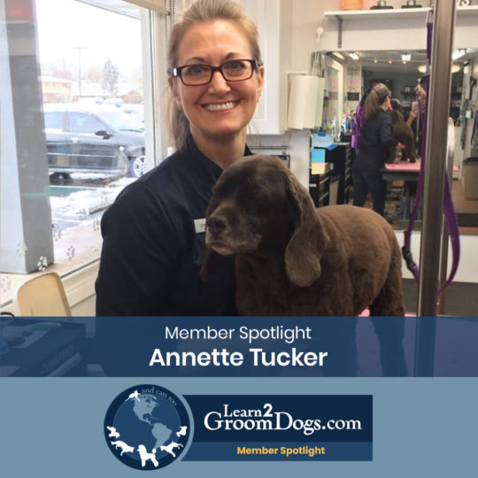 Annette Tucker learned new professional dog grooming tricks from membership in Learn2GroomDogs.com