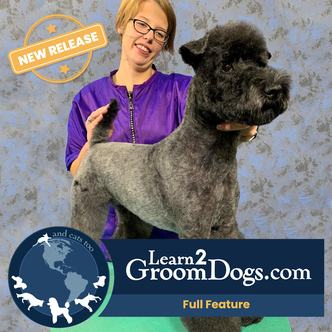 Creating a Practical Asian Fusion Trim