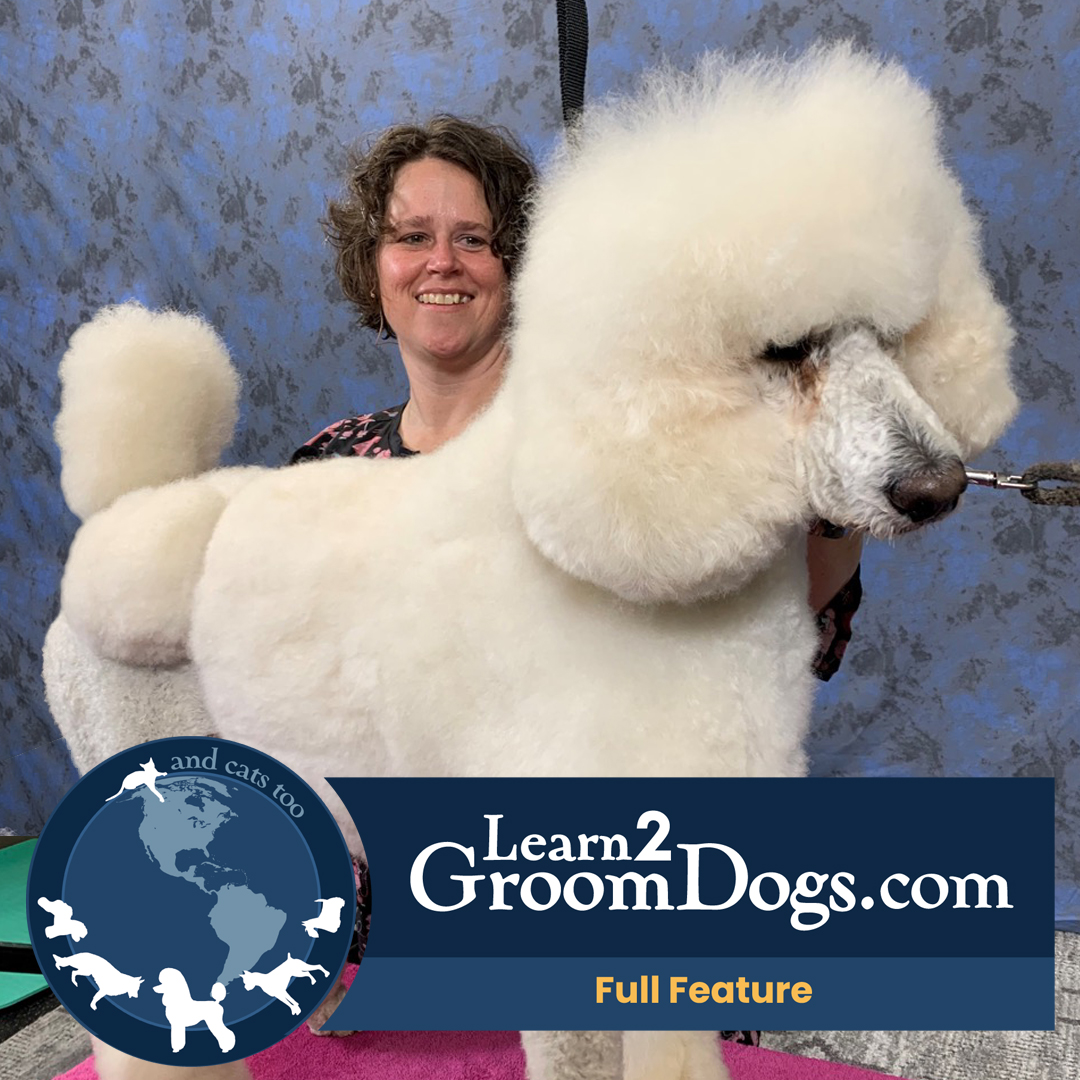 Creating a Practical Asian Fusion Trim