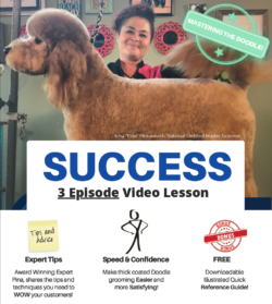 Mastering The Doodle - What You Need To Know To Groom Doodles Faster And Better